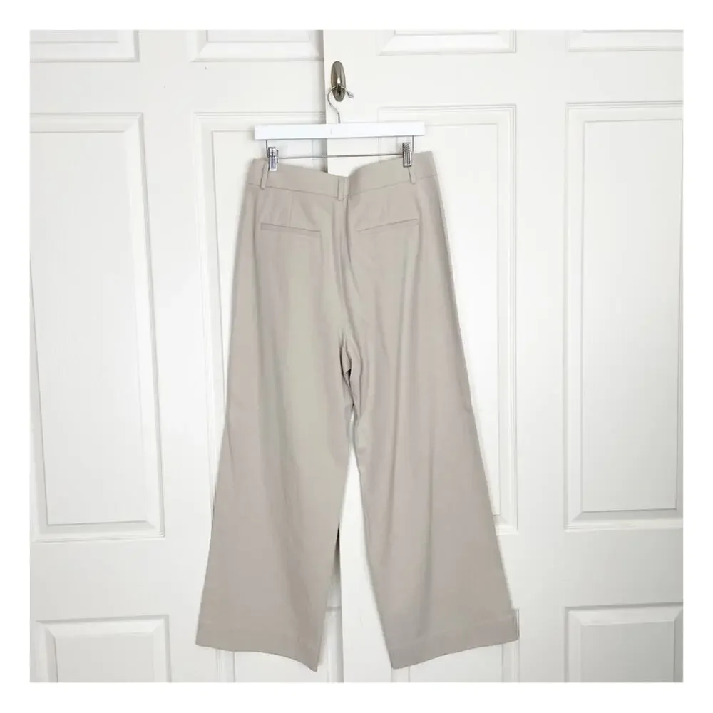 Everlane Way-High Drape Wide Leg Trousers Sandstone Neutral Pants NWT Sz 10 S